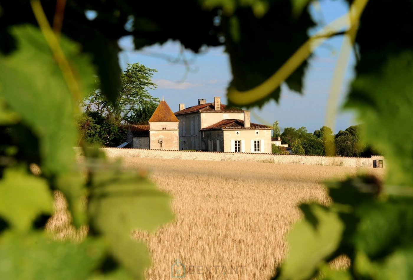 vente Propriété Cognac - Photo 7