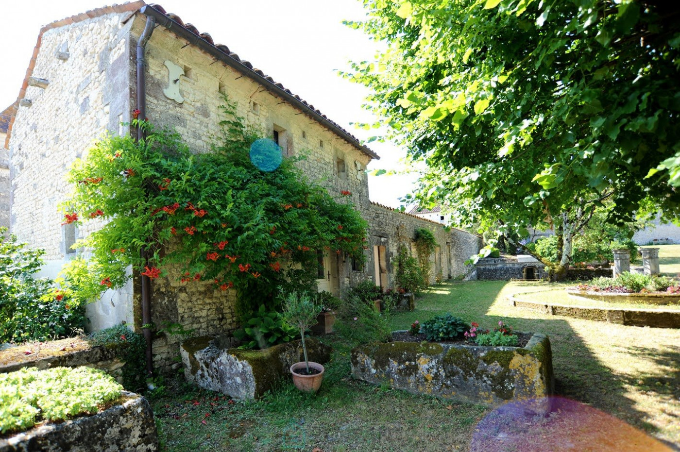 vente Propriété Cognac - Photo 19
