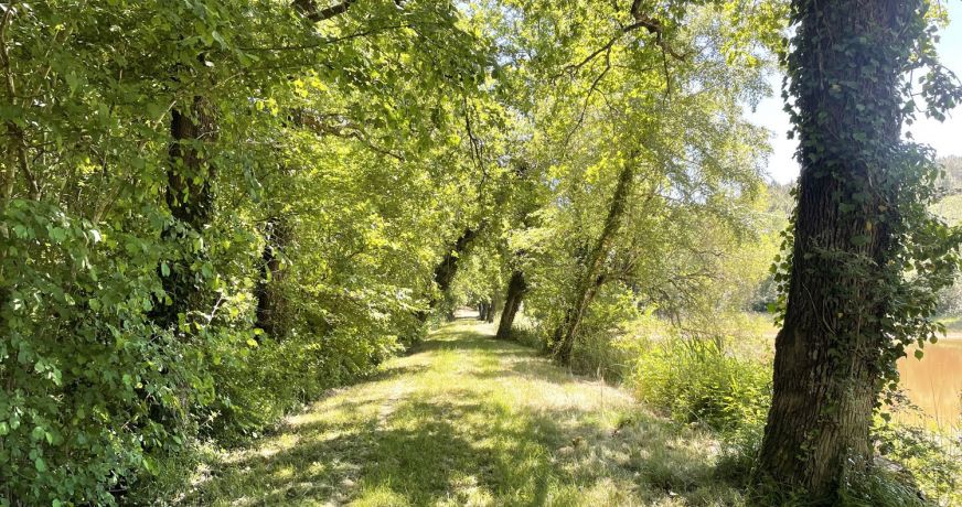vente Domaine Barbezieux Saint Hilaire