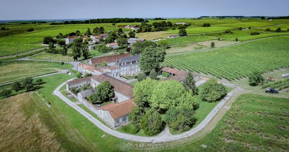 vente Maison de maître Segonzac - Photo 2