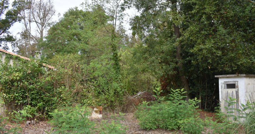 vente Maison Moulin-neuf