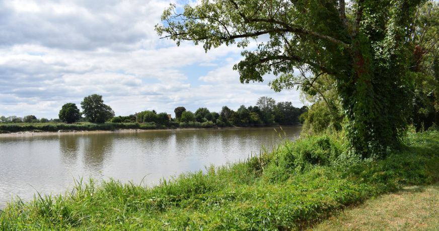 vente Maison Moulin-neuf