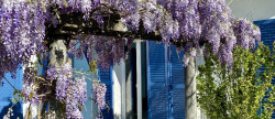 vente Maison individuelle Meudon