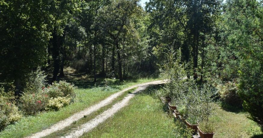 vente Propriété Rouffignac Saint Cernin De Reilhac