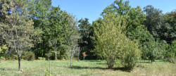 vente Propriété Rouffignac Saint Cernin De Reilhac