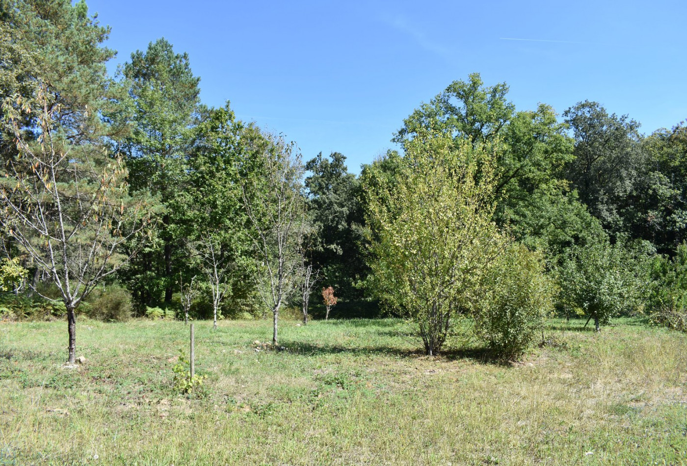 vente Propriété Rouffignac Saint Cernin De Reilhac - Photo 9