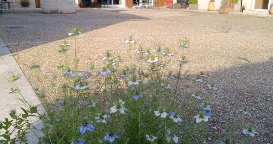 vente Ferme Perigueux