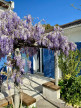 vente Maison individuelle Meudon