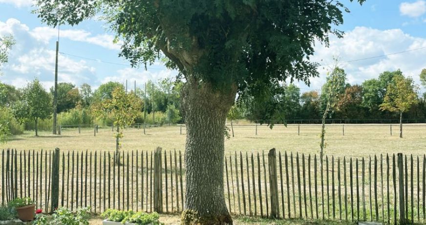 vente Maison de village Aumagne