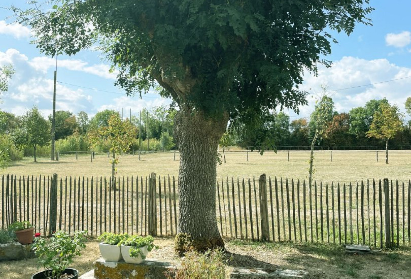 vente Maison de village Aumagne - Photo 4