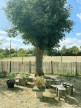 vente Maison de village Aumagne