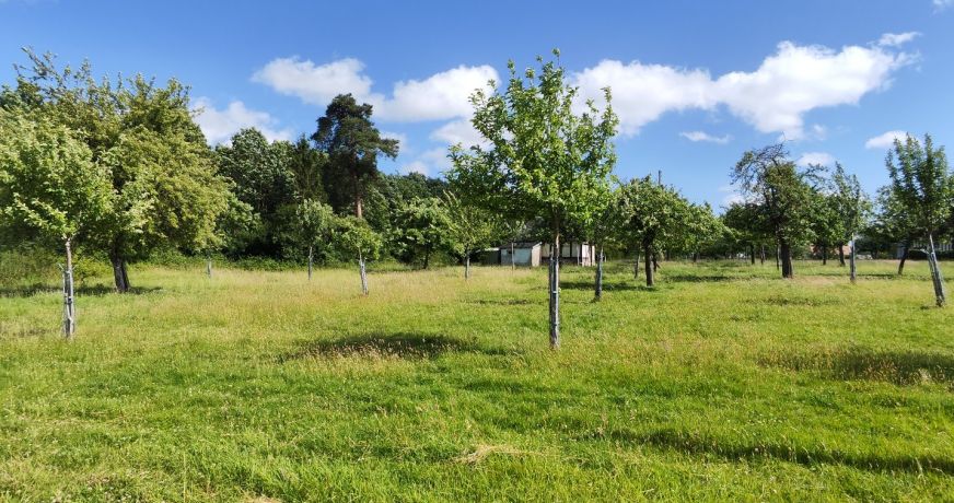 vente Maison Mesnil-en-ouche