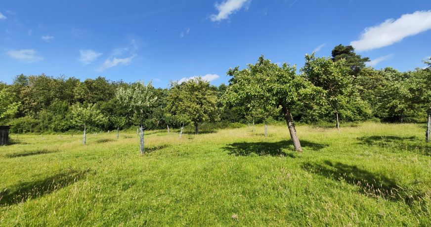 vente Maison Mesnil-en-ouche