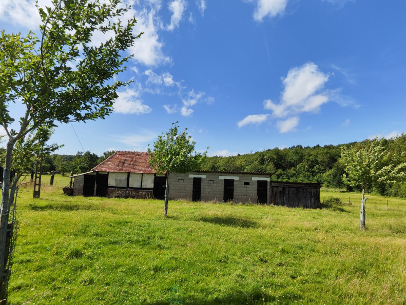 vente Maison Mesnil-en-ouche - Photo 3