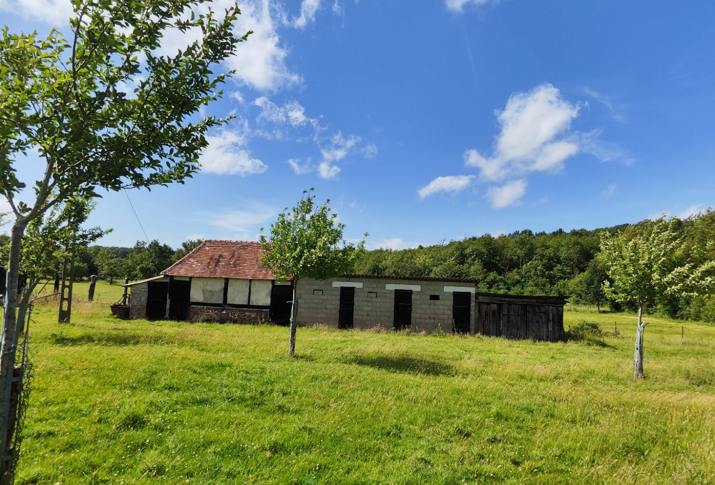 vente Maison Mesnil-en-ouche - Photo 3
