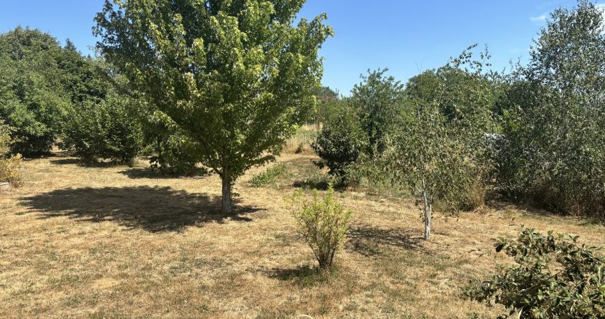 vente Maison de campagne Chamberet