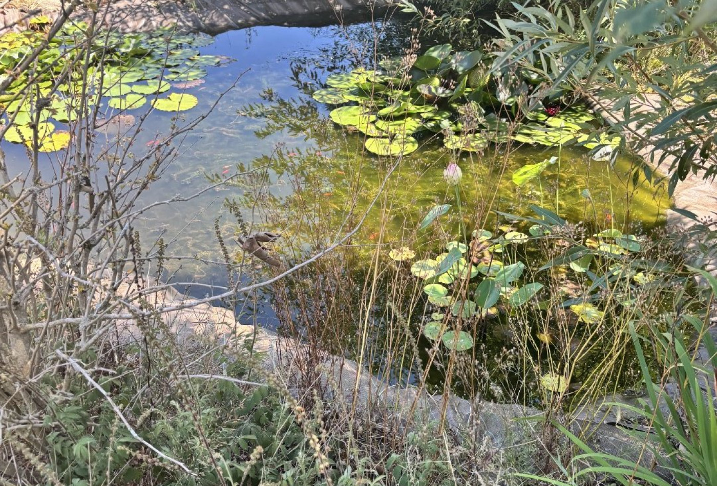 vente Maison de campagne Chamberet - Photo 6