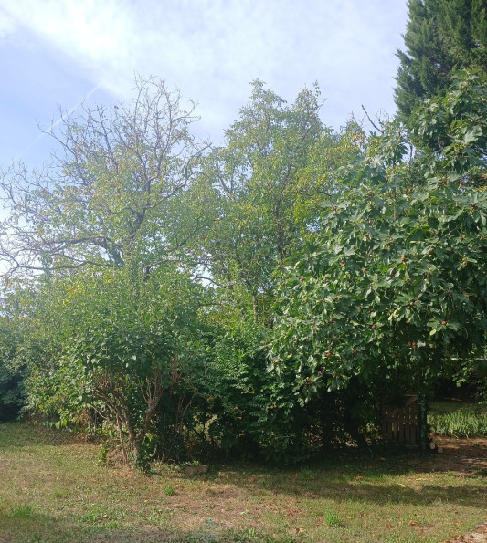 vente Maison individuelle Riberac - Photo 2