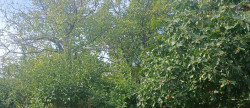 vente Maison individuelle Riberac
