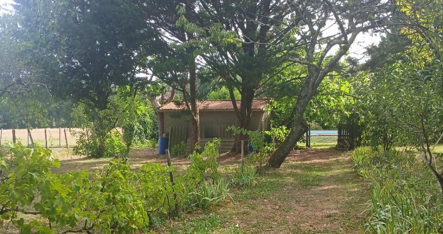 vente Maison individuelle Riberac