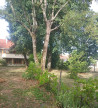vente Maison individuelle Riberac