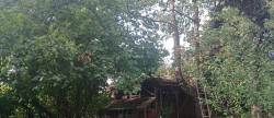 vente Maison individuelle Riberac