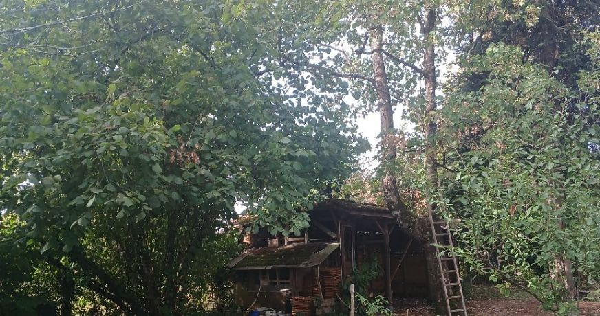 vente Maison individuelle Riberac