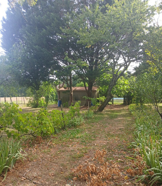 vente Maison individuelle Riberac - Photo 10