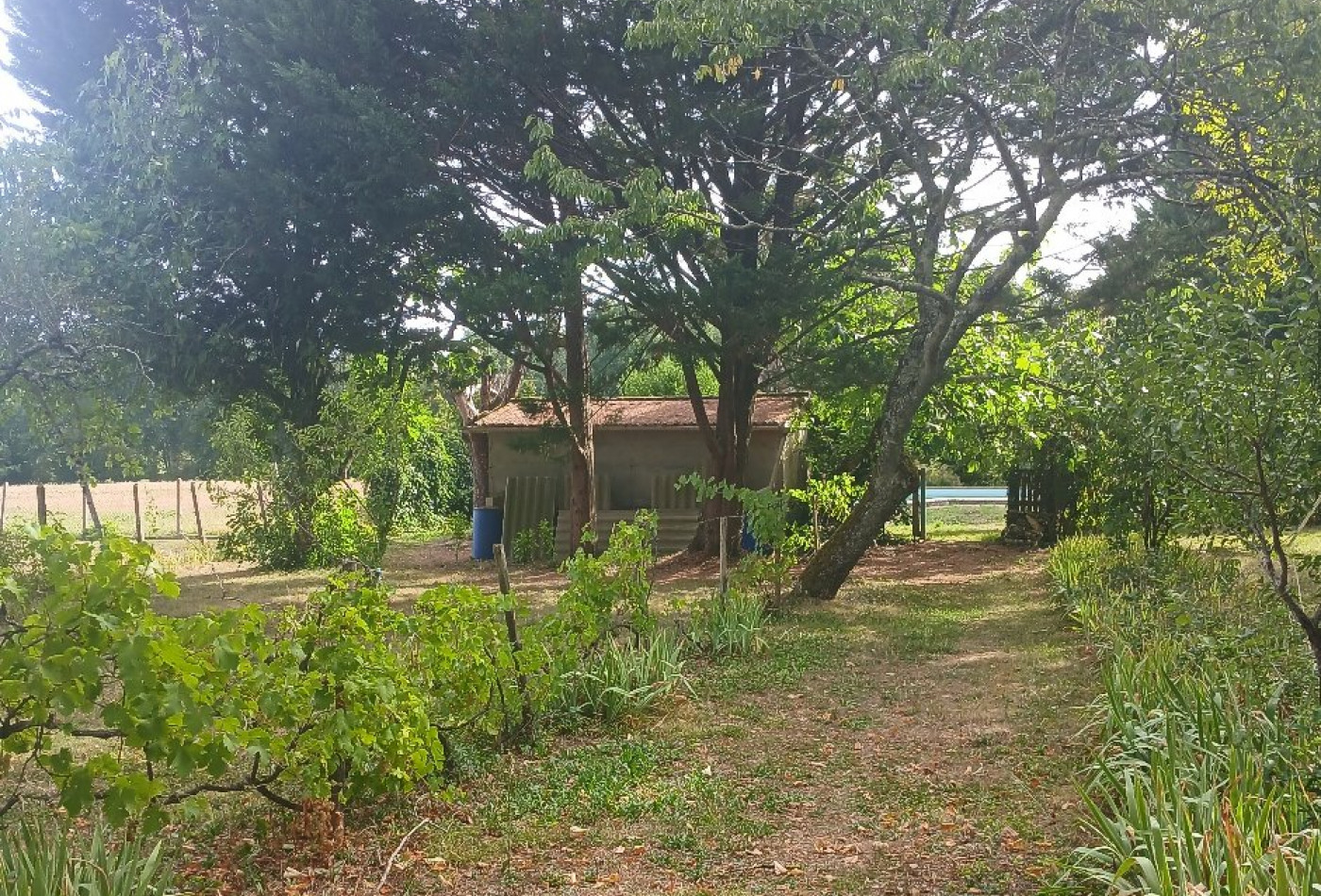 vente Maison individuelle Riberac - Photo 10
