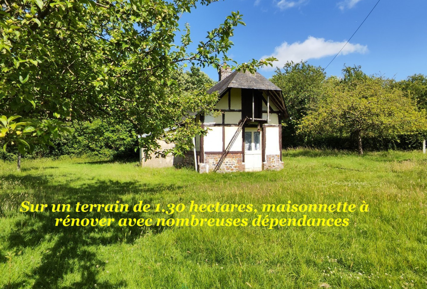vente Maison Mesnil-en-ouche - Photo 1