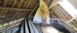 vente Maison Mesnil-en-ouche