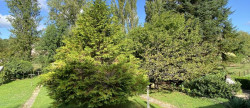 vente Maison Lembras
