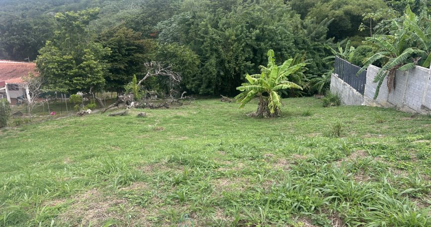 vente Terrain constructible La Trinite