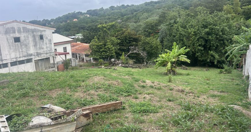 vente Terrain constructible La Trinite