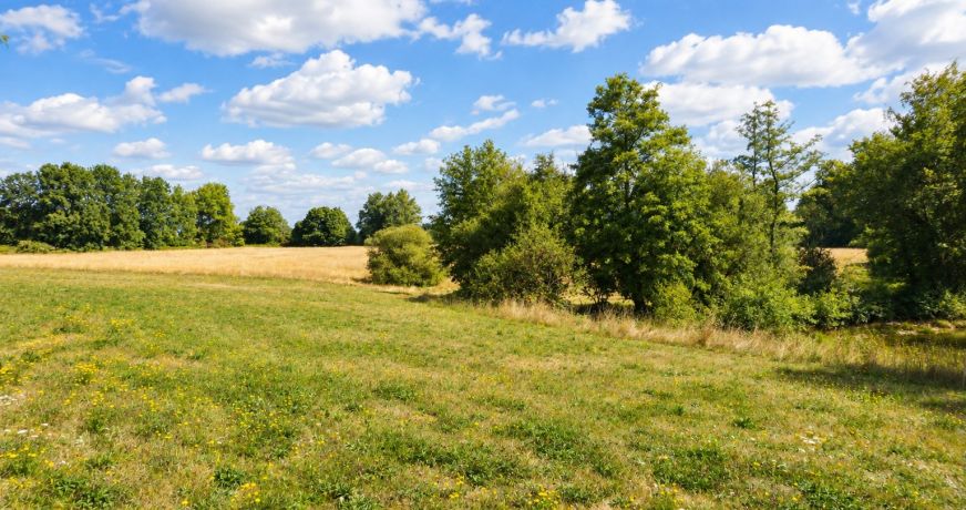 vente Corps de ferme Saint Jory De Chalais