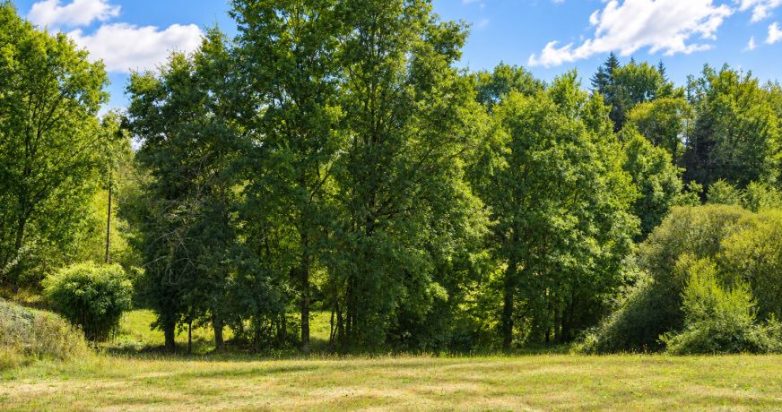 vente Corps de ferme Saint Jory De Chalais