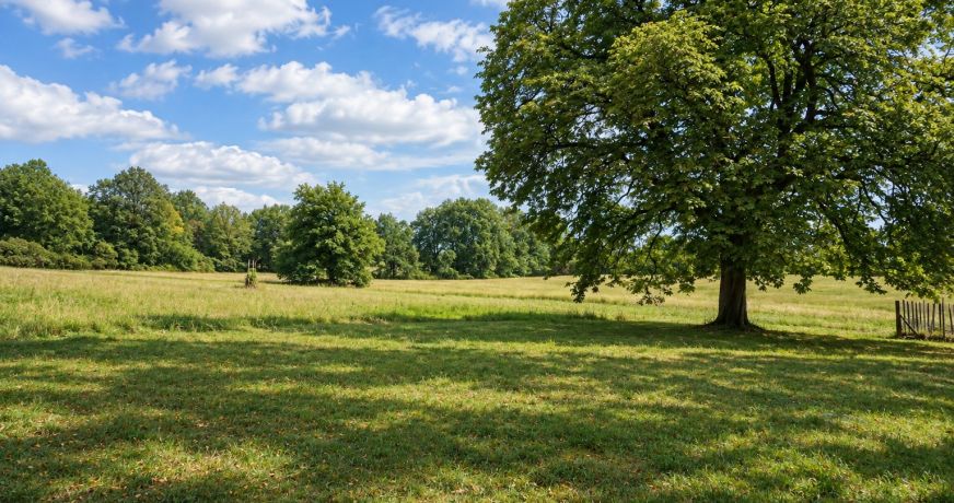 vente Corps de ferme Saint Jory De Chalais
