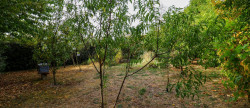 vente Terrain constructible Lanouaille