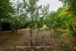vente Terrain constructible Lanouaille