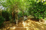 vente Terrain constructible Lanouaille