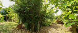 vente Terrain constructible Lanouaille