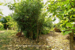 vente Terrain constructible Lanouaille