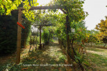 vente Terrain constructible Lanouaille