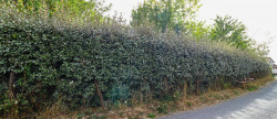 vente Terrain constructible Lanouaille