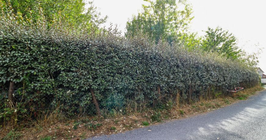 vente Terrain constructible Lanouaille