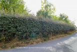 vente Terrain constructible Lanouaille