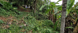 vente Terrain constructible Le Lamentin