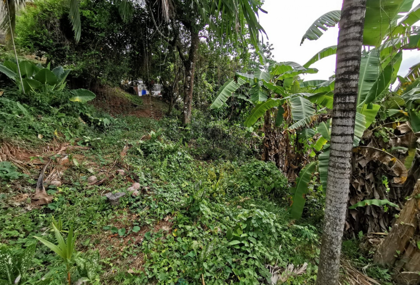 vente Terrain constructible Le Lamentin - Photo 3