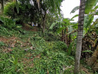 vente Terrain constructible Le Lamentin