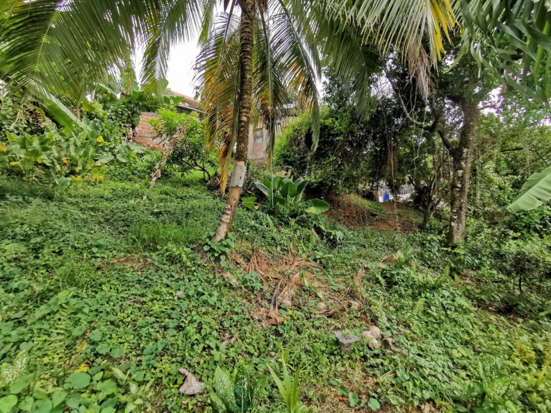 vente Terrain constructible Le Lamentin - Photo 4